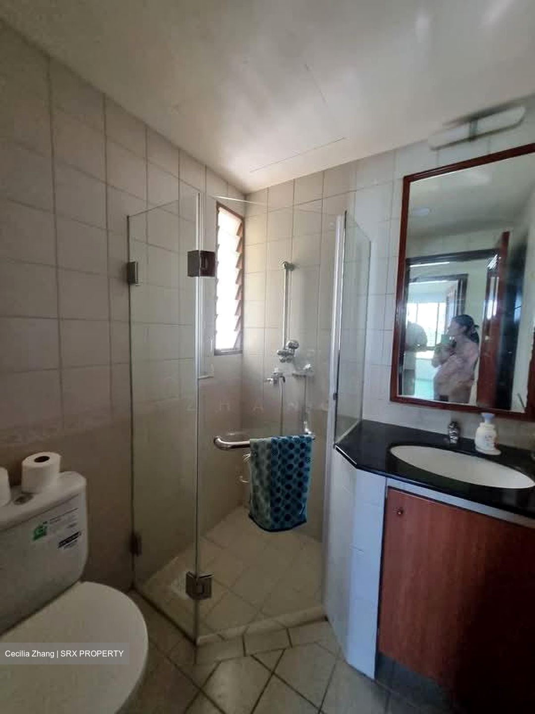 Tropical Spring (D18), Condominium #527640051